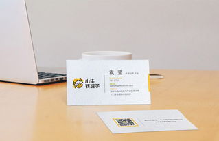 【精品名片设计印刷,莱妮纸,白卡纸,刚古纸,珠光纸,雅柔纸】-