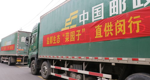 邮政业全力以赴抗击疫情