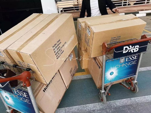 迪拜华人为我市捐赠4.4万只口罩