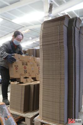 河北张家口:疫情防控物资生产“两不误”